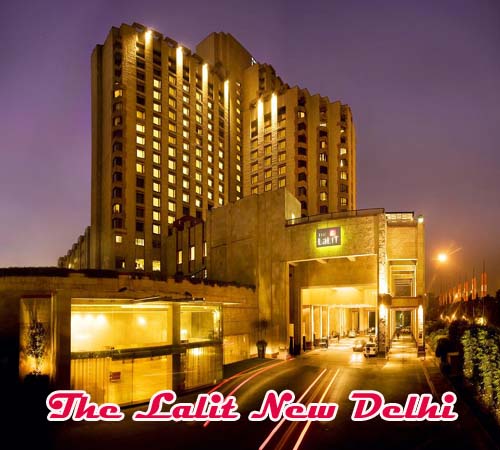 Celebrity Model Escorts in Saket